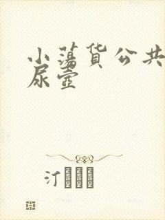 小荡货公共精厕尿壶