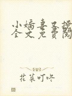 小娇妻又撩又甜全文免费阅读