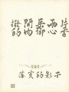 拨开岳两片肥嫩的肉御心香帅