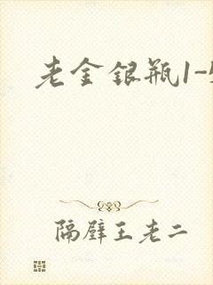 老金银瓶1-5