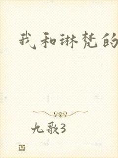 我和琳梵的故事