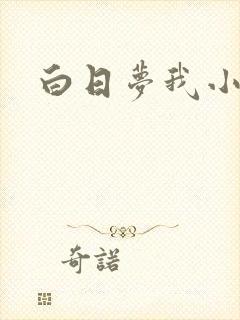 白日梦我小说