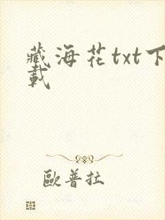 藏海花txt下载