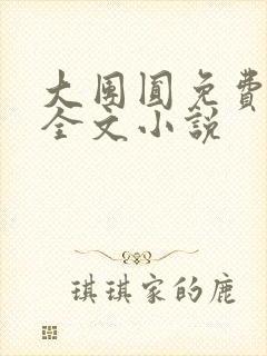 大团圆免费阅读全文小说