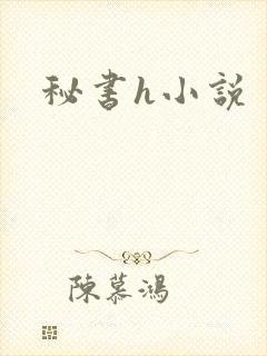 秘书h小说封面
