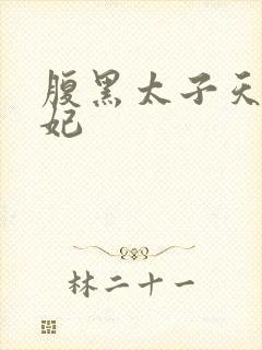 腹黑太子天降萌妃封面