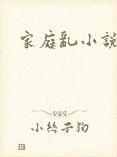 家庭乱小说封面