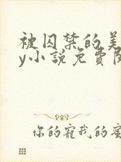 被囚禁的美人by小说免费阅读