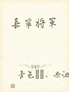 长宁将军