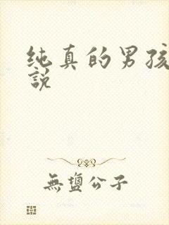 纯真的男孩子小说