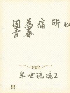 因为痛 所以叫青春