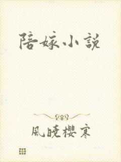 陪嫁小说
