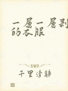 一层一层剥开你的衣服