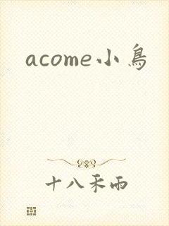 acome小鸟