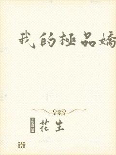 我的极品娇妻