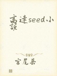 高达seed小说