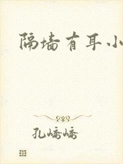 隔墙有耳小说封面