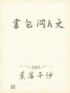 书包网h文