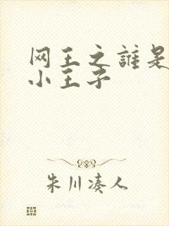 网王之谁是我的小王子