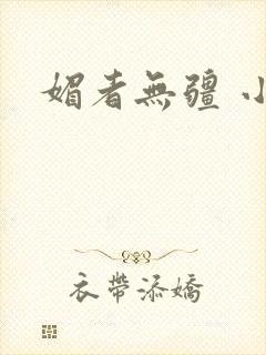 媚者无疆 小说封面