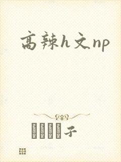 高辣h文np