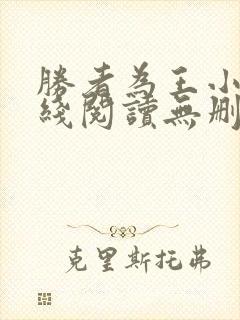 胜者为王小说在线阅读无删减