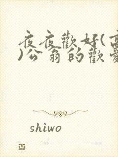 夜夜欢好(高h)公翁的欢爱