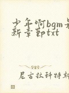 少年啊bgm最新章节txt
