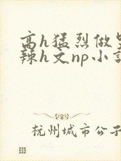 高h猛烈做哭高辣h文np小说