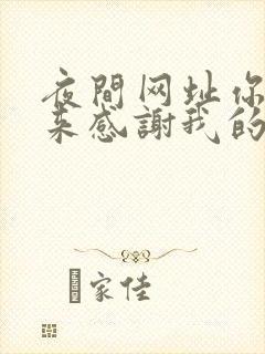 夜间网址你会回来感谢我的