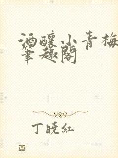 酒酿小青梅po笔趣阁封面