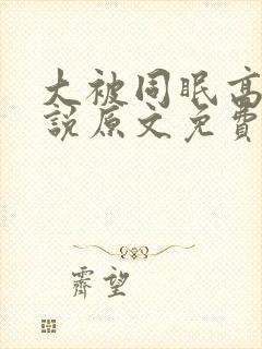 大被同眠高粱小说原文免费阅读封面