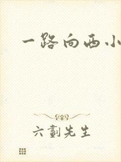 一路向西小说