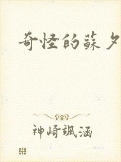 奇怪的苏夕封面