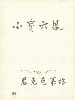 小宝六凤