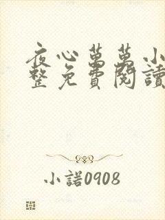 夜心万万小说完整免费阅读全文