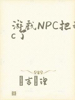 游戏NPC把我c了