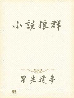 小说狼群