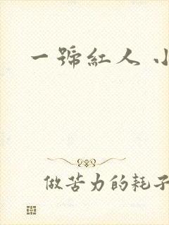 一号红人 小说