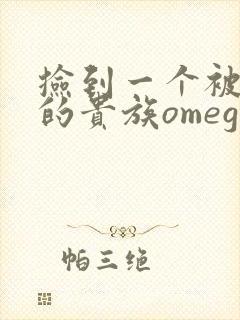 捡到一个被抹布的贵族omega封面