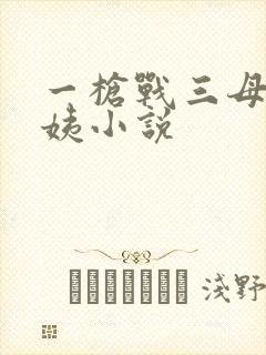 一枪战三母2雪姨小说封面