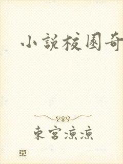 小说校园奇侠