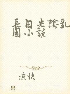 长日光阴乱作一团小说