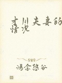 才川夫妻的恋爱情况封面