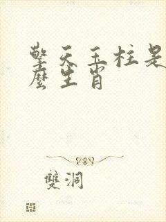 擎天玉柱是指什么生肖封面