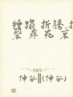 糟蹋 折腾 撕裂 疼 死 哀求封面