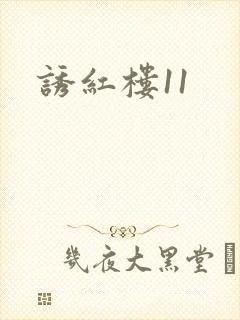 诱红楼11