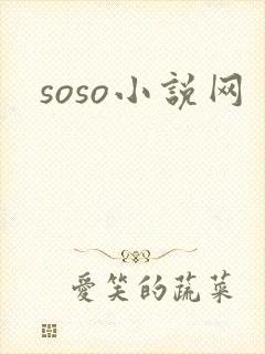soso小说网