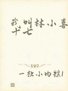 我叫林小喜今年十七