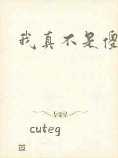 我真不是傻子封面